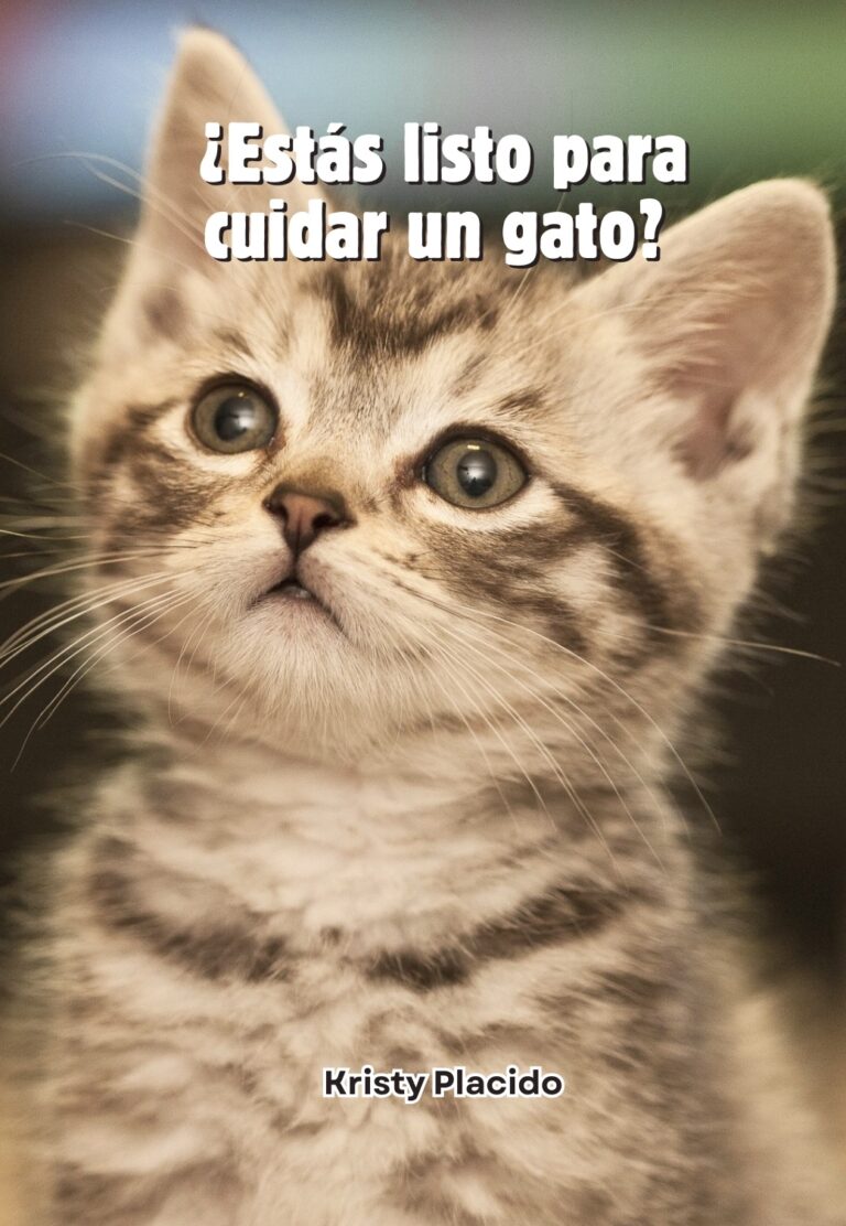 ¿Estás listo para cuidar un gato?