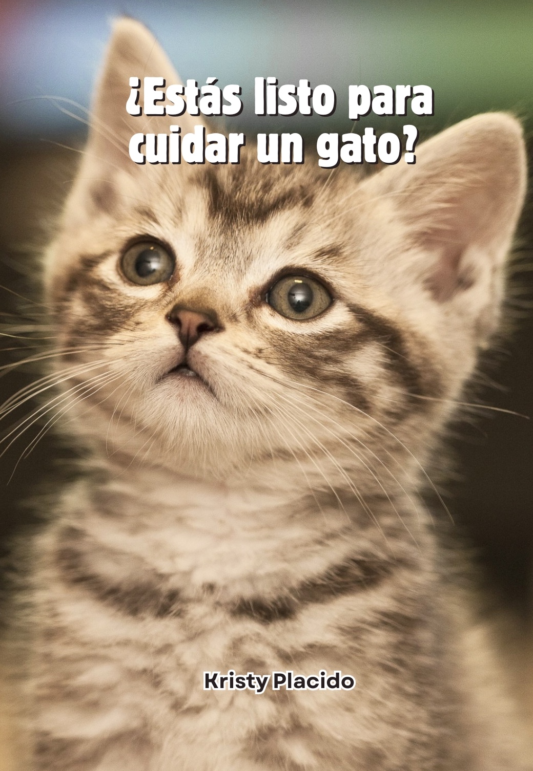 ¿Estás listo para cuidar un gato?